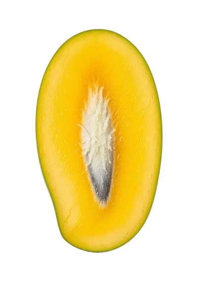 Imagen PNG para descargar